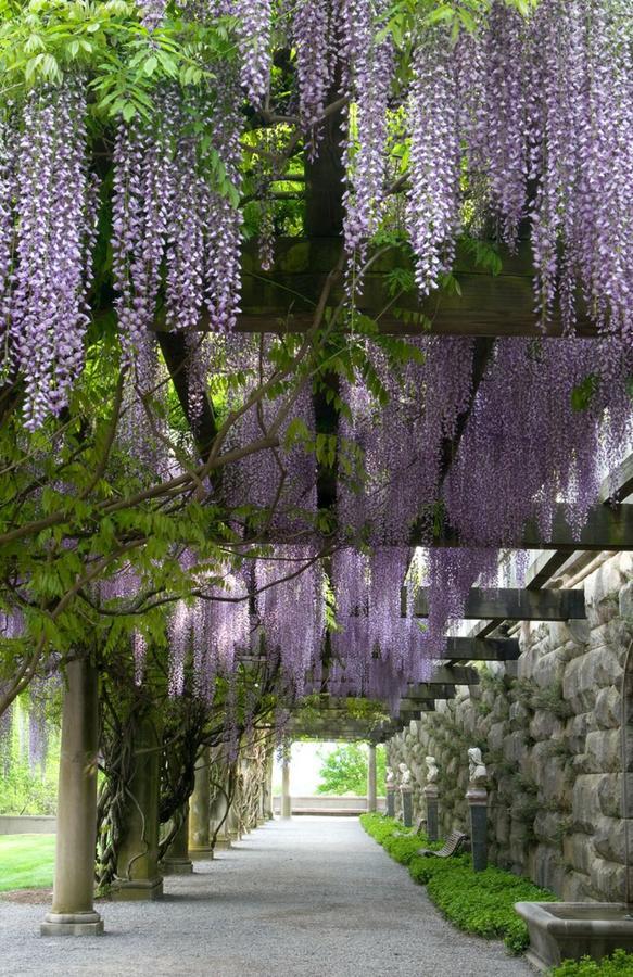Village Hotel On Biltmore Estate 阿什维尔 外观 照片