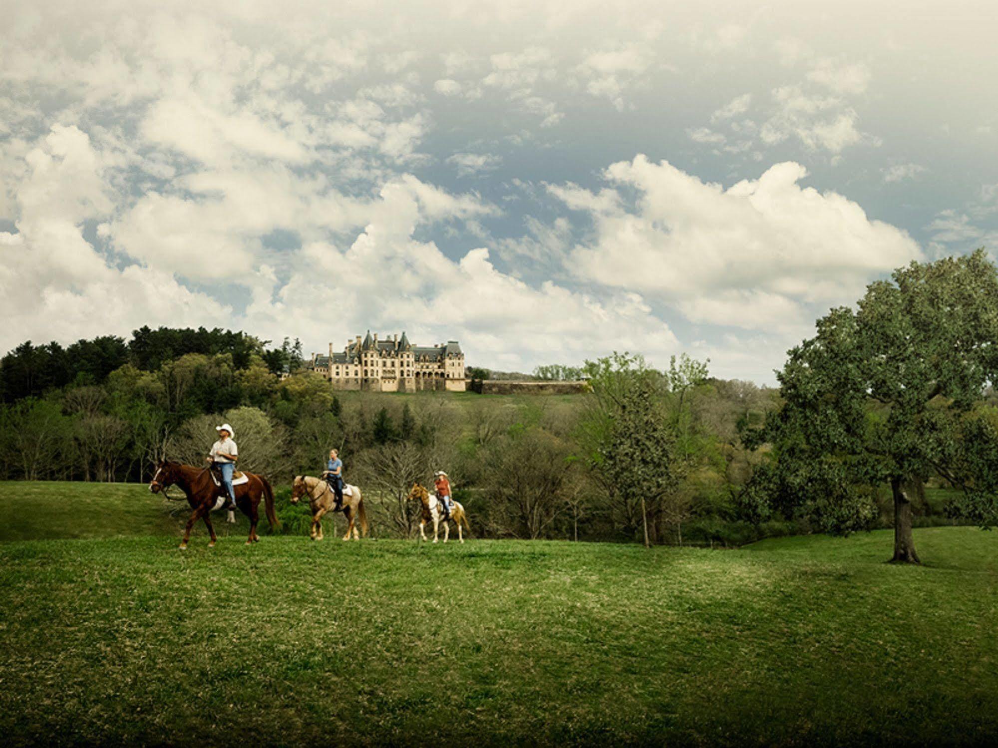 Village Hotel On Biltmore Estate 阿什维尔 外观 照片